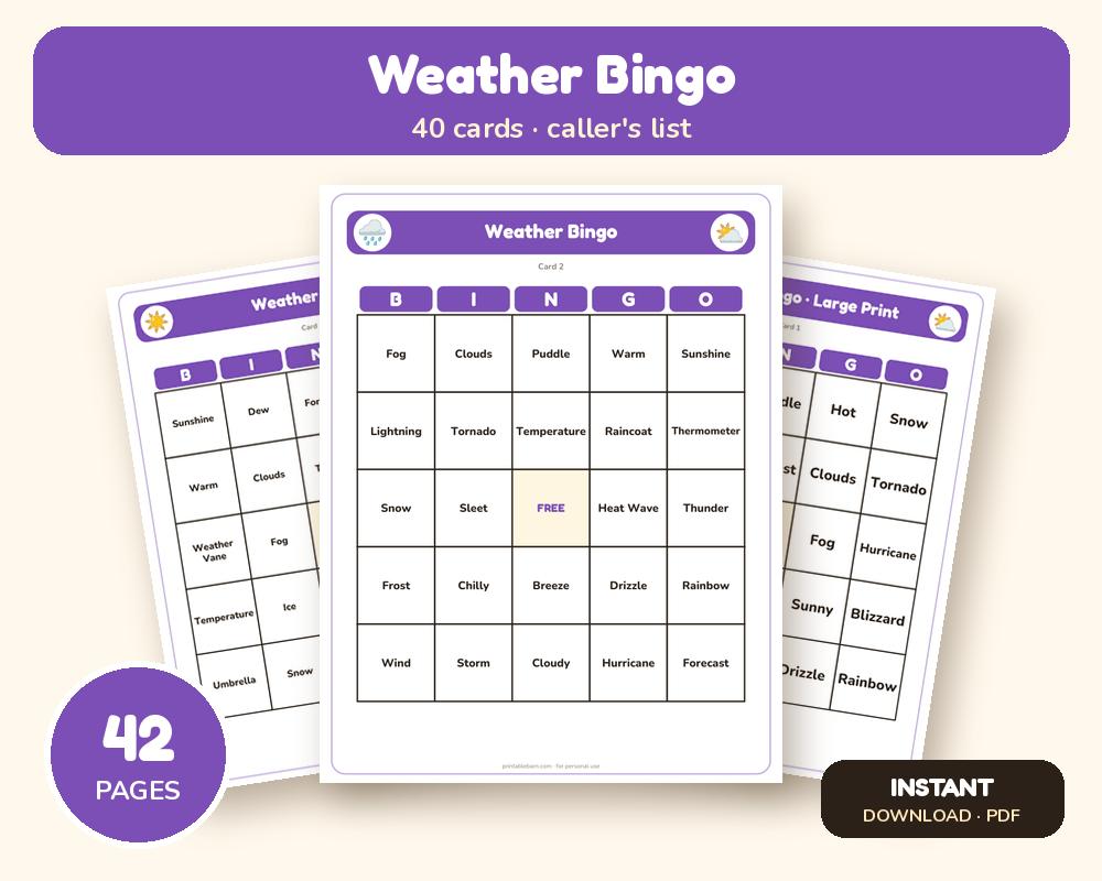 Weather Bingo: 40 Printable Cards (Regular + Large Print) printable preview 1