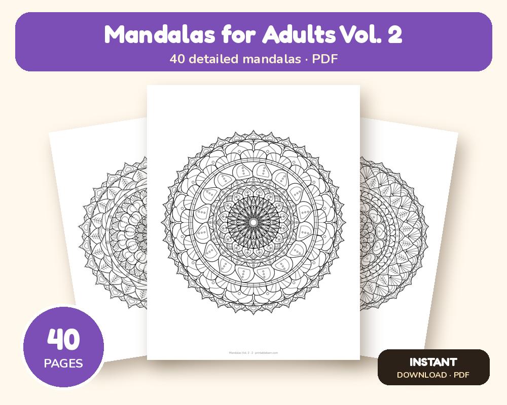 Mandala Coloring Book for Adults Vol. 2: 40 Detailed Printable Mandalas printable preview 1