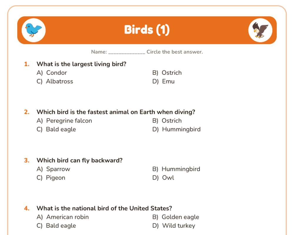 Free printable Birds Quiz sample page