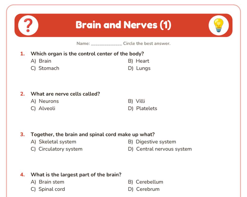 Free printable Brain and Nerves Quiz sample page