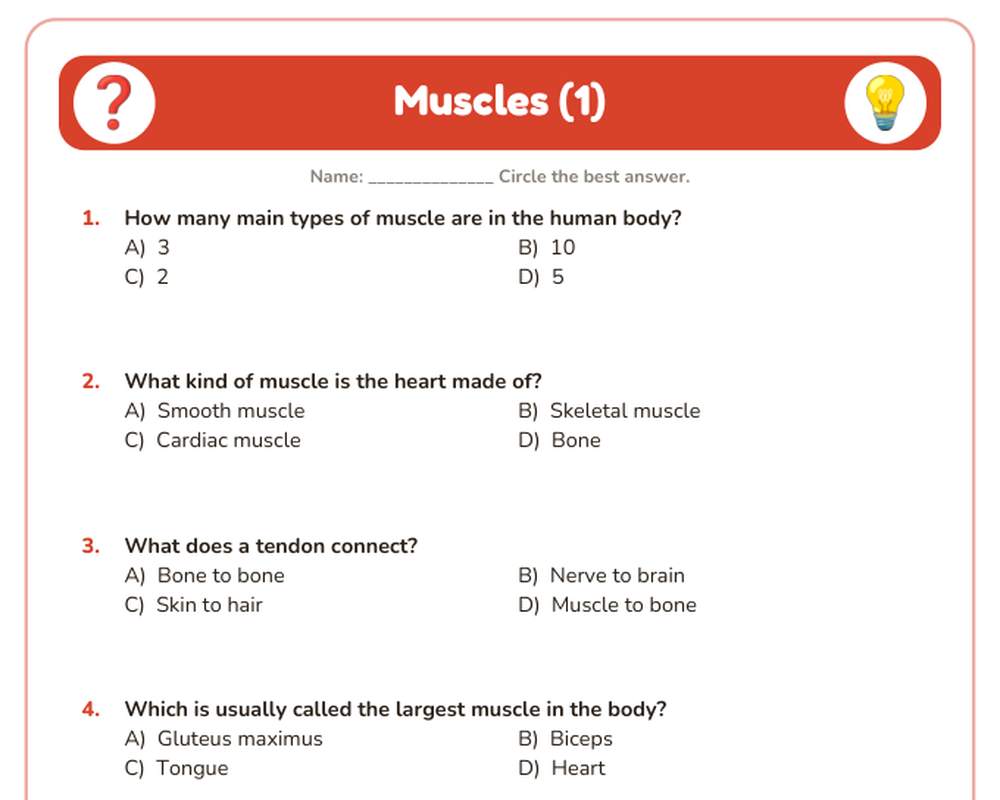Free printable Muscles Quiz sample page