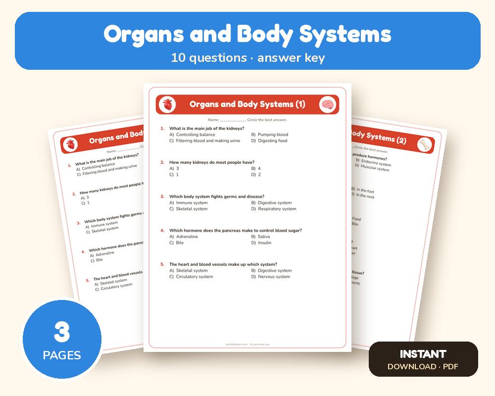 Organs and Body Systems Quiz Worksheet (Printable, with Answer Key)
