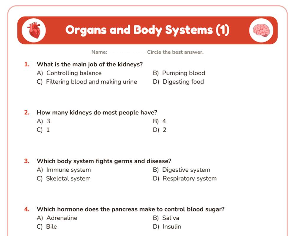 Free printable Organs and Body Systems Quiz sample page