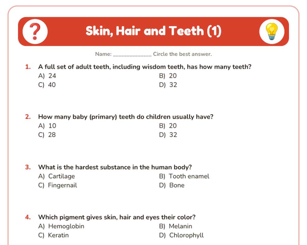 Free printable Skin, Hair and Teeth Quiz sample page