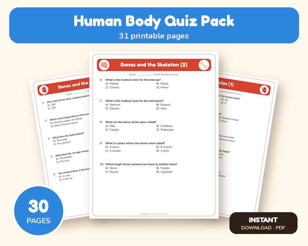 Human Body Quiz Pack: 10 Printable Quiz Worksheets (100 Questions + Answer Key) printable preview 1