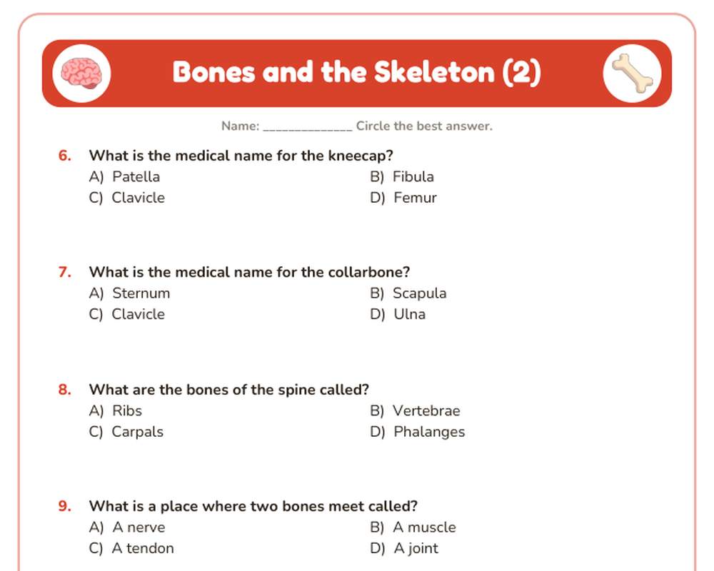 Free printable Human Body Quiz Pack sample page