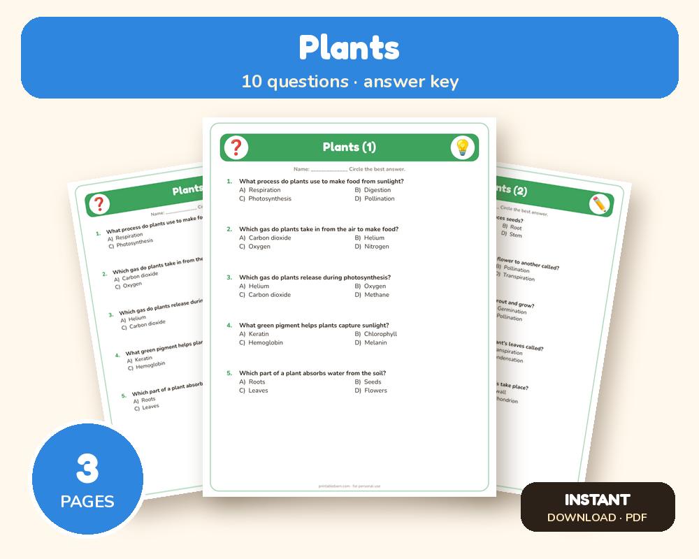Plants Quiz Worksheet (Printable, with Answer Key) printable preview 1