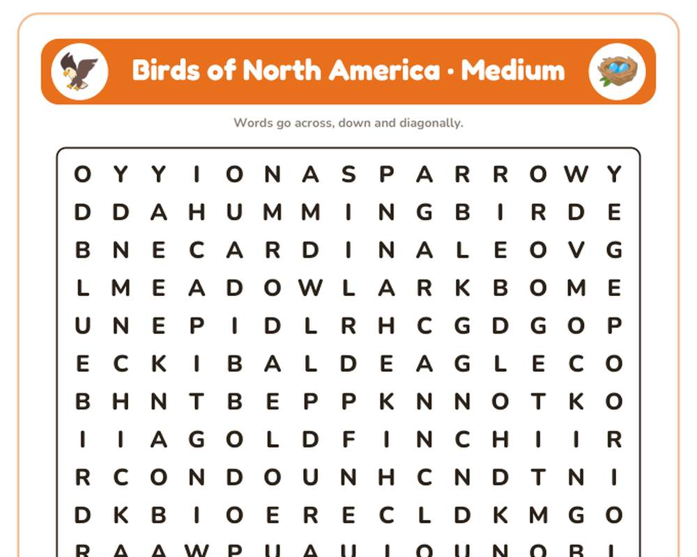 Birds of North America Word Search Printable: 4 Puzzles (Easy to Hard + Large Print) printable preview 2