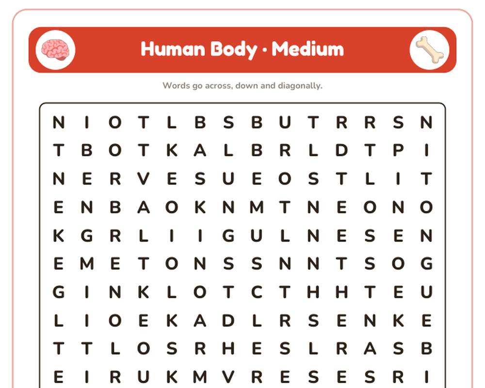 Human Body Word Search Printable: 4 Puzzles (Easy to Hard + Large Print) printable preview 2